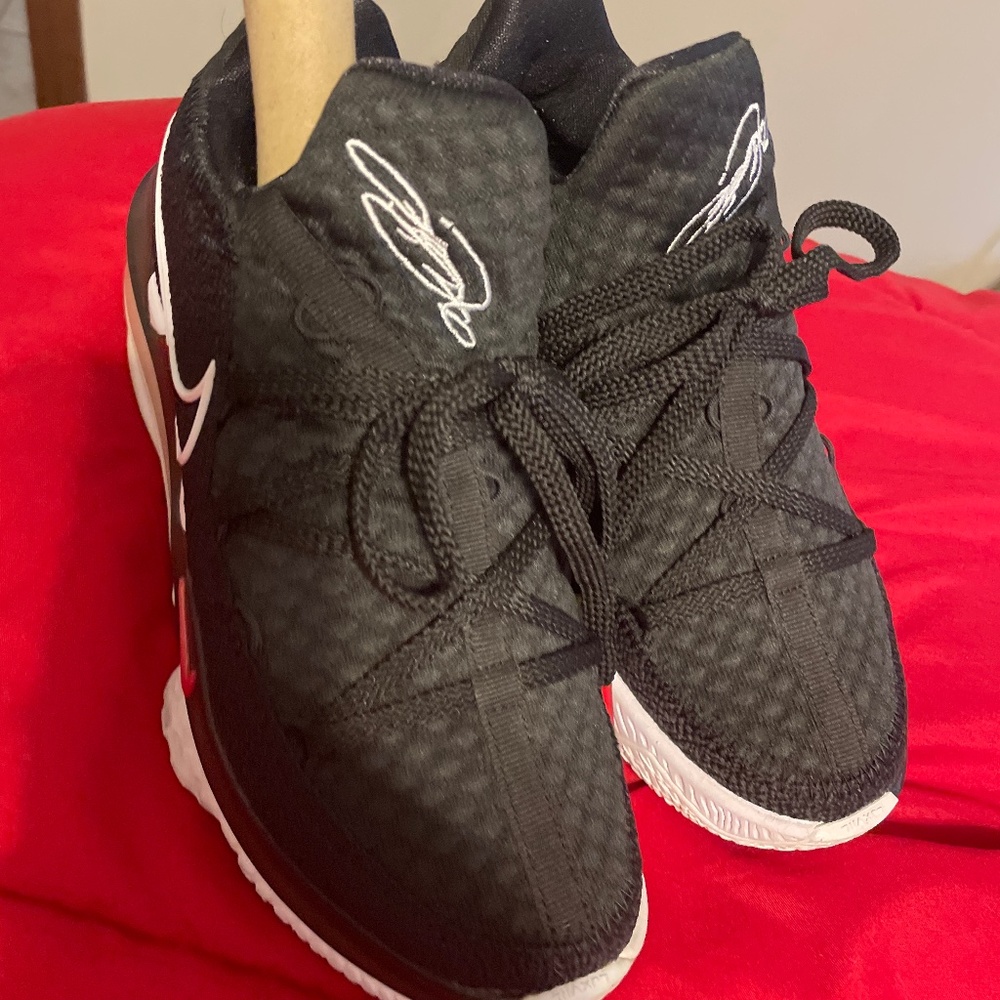 Lebron sneaker